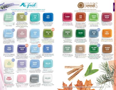 Scentsy Fragrances Image