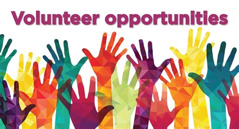 School Volunteer Opportunities