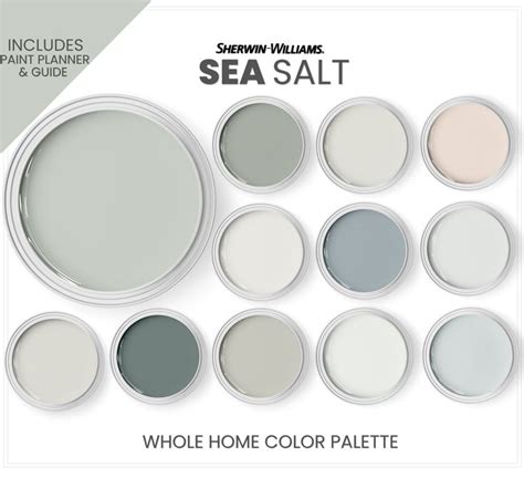 Sea Salt Color Palette 1