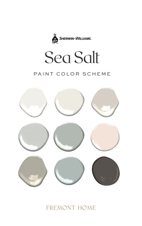 Sea Salt Color Palette 2