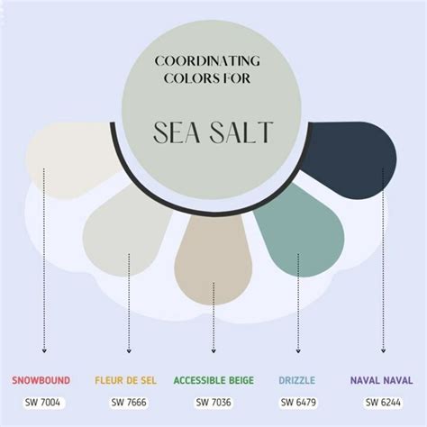 Sea Salt Color Palette 6