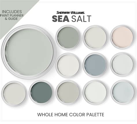 Sea Salt Color Palette 7