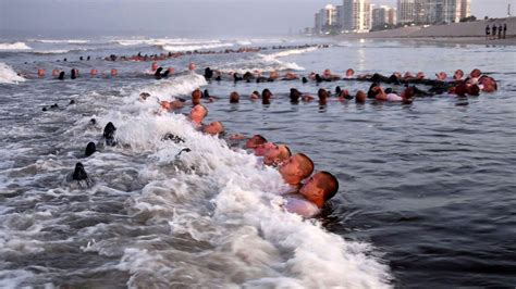 SEALs in training