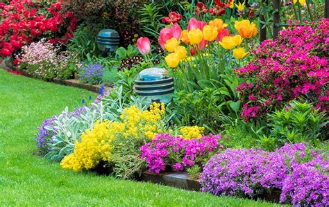 Seasonal Flowers and Greenery