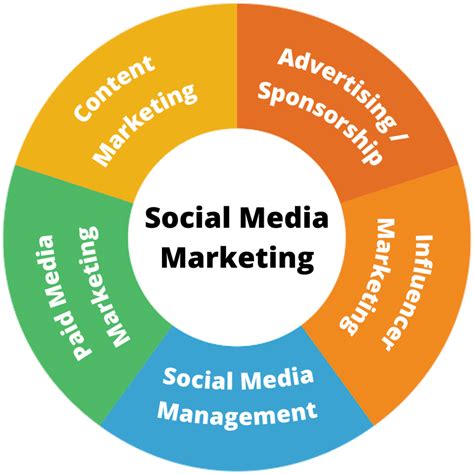 Sections in social media management