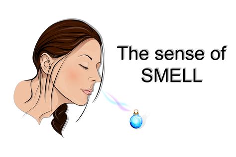 Sense of smell