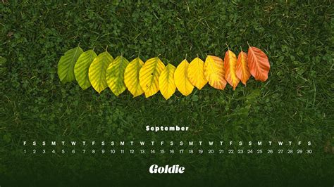 September Wall Calendars