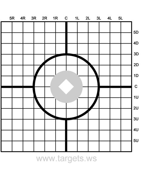 Shooting grid