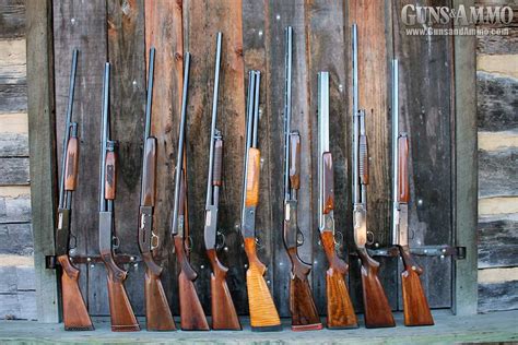 Shotgun Brands Gallery Image 4