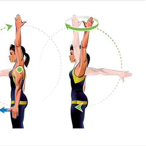 Shoulder Rotations for High Velocity Arms