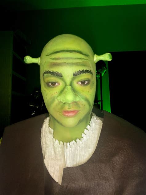 Shrek-inspired makeup look 1