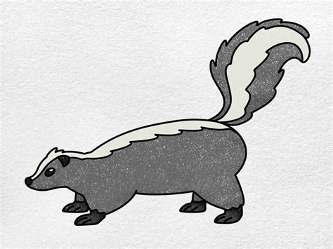 Skunk drawing 1