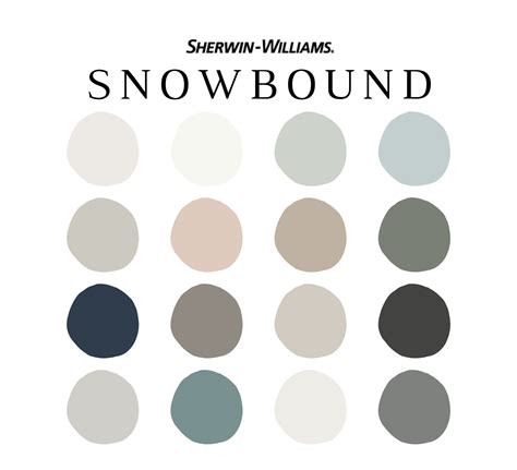 Snowbound Color Palette