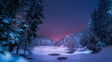 Snowy Nights Color Palette