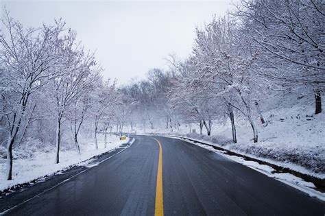 Snowy Road