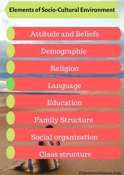 The Role of Socioculturalism in Business and Economics