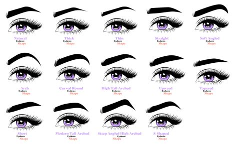 Soft and Arched Brow Style