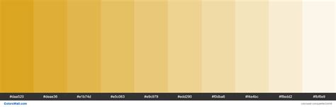 Soft Golden Light Color Palette Inspiration