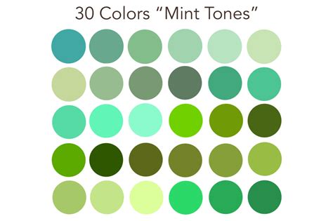 Soft Mint Color Palette