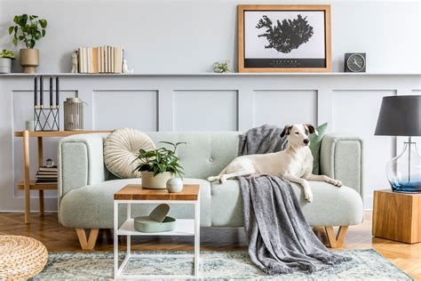 Soft mint living room inspiration