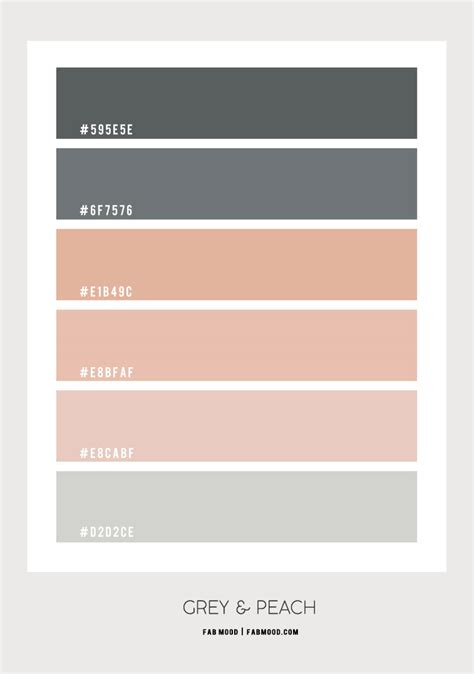 Soft Peach and Gray Muted Color Palette