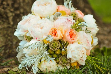 Soft Peach and Ivory Combination