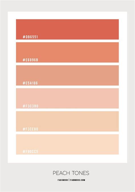 Soft Peach Tones