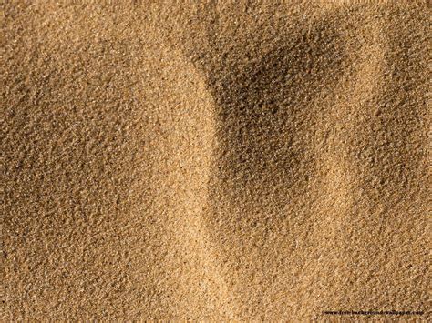 A person with olive skin wearing soft sand