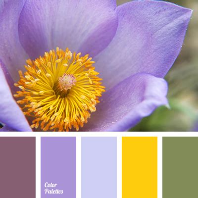 Soft Yellow and Rich Purple