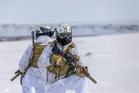 Soldier with gun in arctic environment