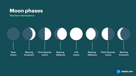 The Science Behind Solunar Calendar