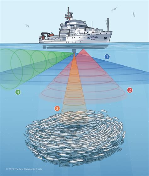 Sonar technology revolutionized anti-submarine warfare