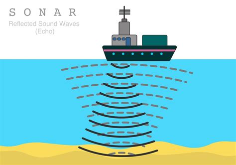 Sonar technology in use