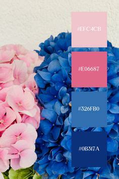 Sophistication design blue pink