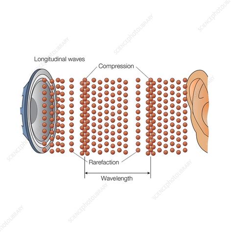 Sound wave propagation and knots