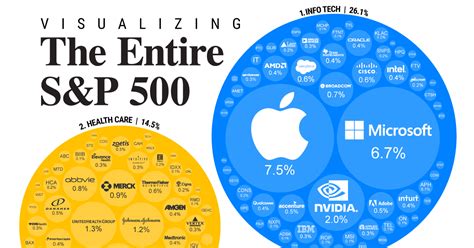 S&P 500 companies