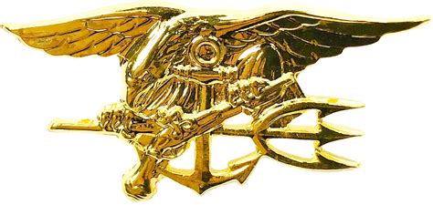 Special Warfare Pin