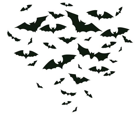 Spooky bats