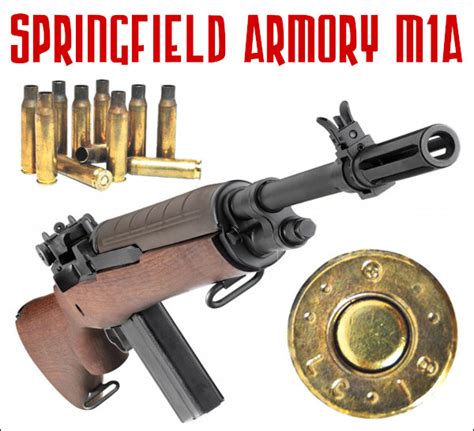 Springfield Armory Firearm Maintenance