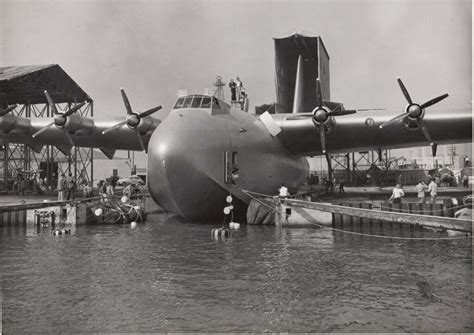 Spruce Goose Design