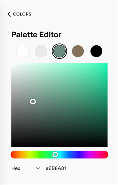 Squarespace Color Palette 2