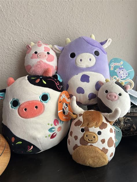 Squishmallow Collecting and Trading