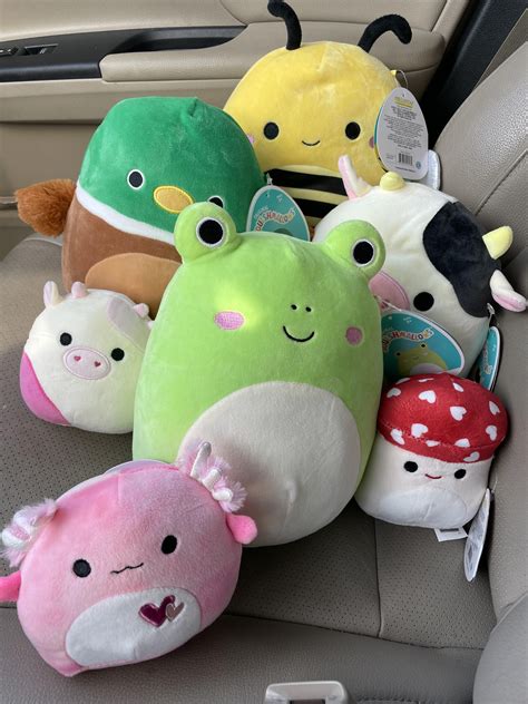 Squishmallow Community and Events