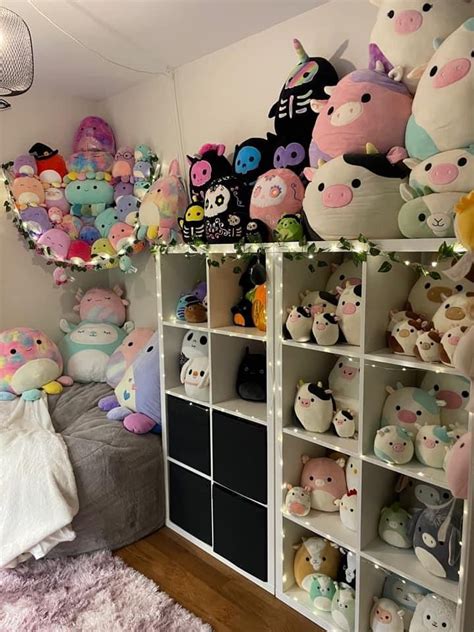 Squishmallow Organization Ideas