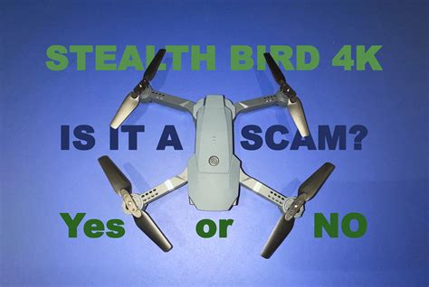 Stealth Bird Drone Image 10