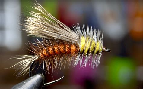 Stimulator Fly