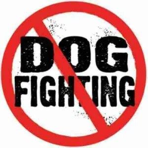 Stop dog fighting