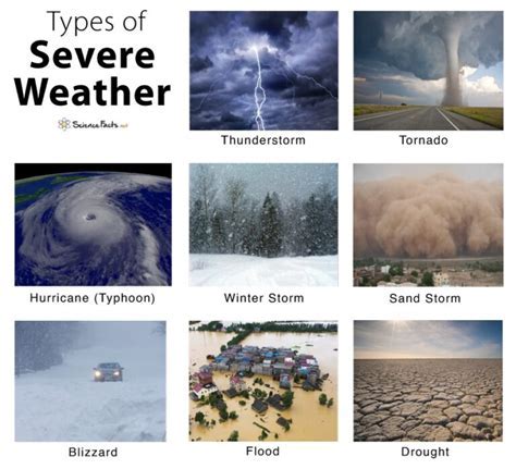 Real-world examples of the storm color palette