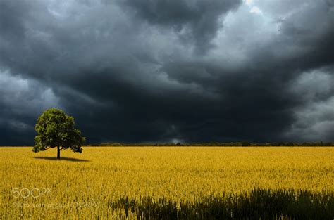 Stormy weather landscape