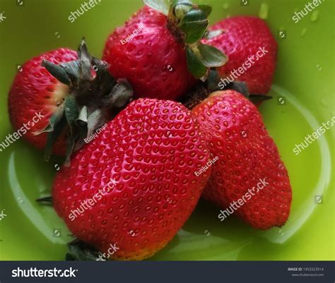 Strawberry Complementary Color Palette